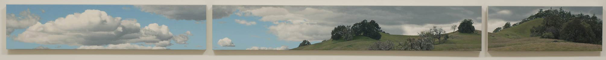 Ridge in Winter, 2005 - 06 / 
        oil on polyester (triptych) / 
        Total size: 9 x 117 in. (22.9 x 297.2 cm)  / 
        Private collection 