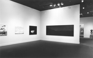 Installation photography, Sandra Mendelsohn Rubin, LACMA, 1985