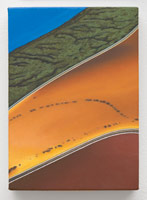 Sandra Mendelsohn Rubin / 
Salt Pond #1, 2012 / 
oil on polyester / 
7 x 5 in. (17.8 x 12.7 cm)