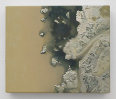 Sandra Mendelsohn Rubin / 
Salt Pond #2, 2012 / 
oil on polyester / 
5 x 6 in. (12.7 x 15.2 cm)