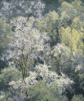 Trees in Winter, 2011 / 
oil on polyester / 
9 x 7 1/2 in. (22.9 x 19.1 cm) / frame: 12 1/4 x 10 3/4 in. (31.1 x 27.3 cm) / 
Private collection 