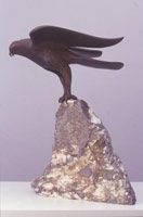 Gwynn Murrill / 
Hawk III, 1999 / 
bronze / 
14 1/2 x 18 x 21 1/2 in (36.8 x 45.7 x 54.6 cm) / 
Private collection
