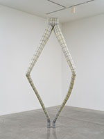 Peter Shelton / 
frogleg, 1999-2000 / 
lead and mixed media / 
131 x 55 x 30 in. (332.7 x 139.7 x 76.2 cm)