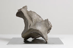 Sui Jianguo / 
Planting Trace -- Constellation 11, 2018 / 
cast bronze / 
17 x 11 7/8 x 15 3/4 in. (43 x 30 x 40 cm)