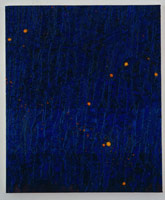 Colour Blind, 1993 / 
oil on linen / 
57 3/4 x 65 3/4 in (146.7 x 167 cm)