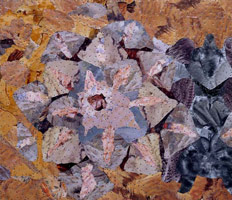 Rancho Mirage #6, 2005 / 
found and fabricated printed tin collaged on plywood with steel brads / 
19 1/2 x 22 1/2 in (49.5 x 57.2 cm)
 
