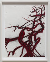 Tony Bevan / 
Tree, 2012 / 
pigment and acrylic on paper / 
24 1/2 x 18 3/4 in. (62.2 x 47.6 cm)