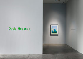 Installation photography / 
David Hockney The Yosemite Suite