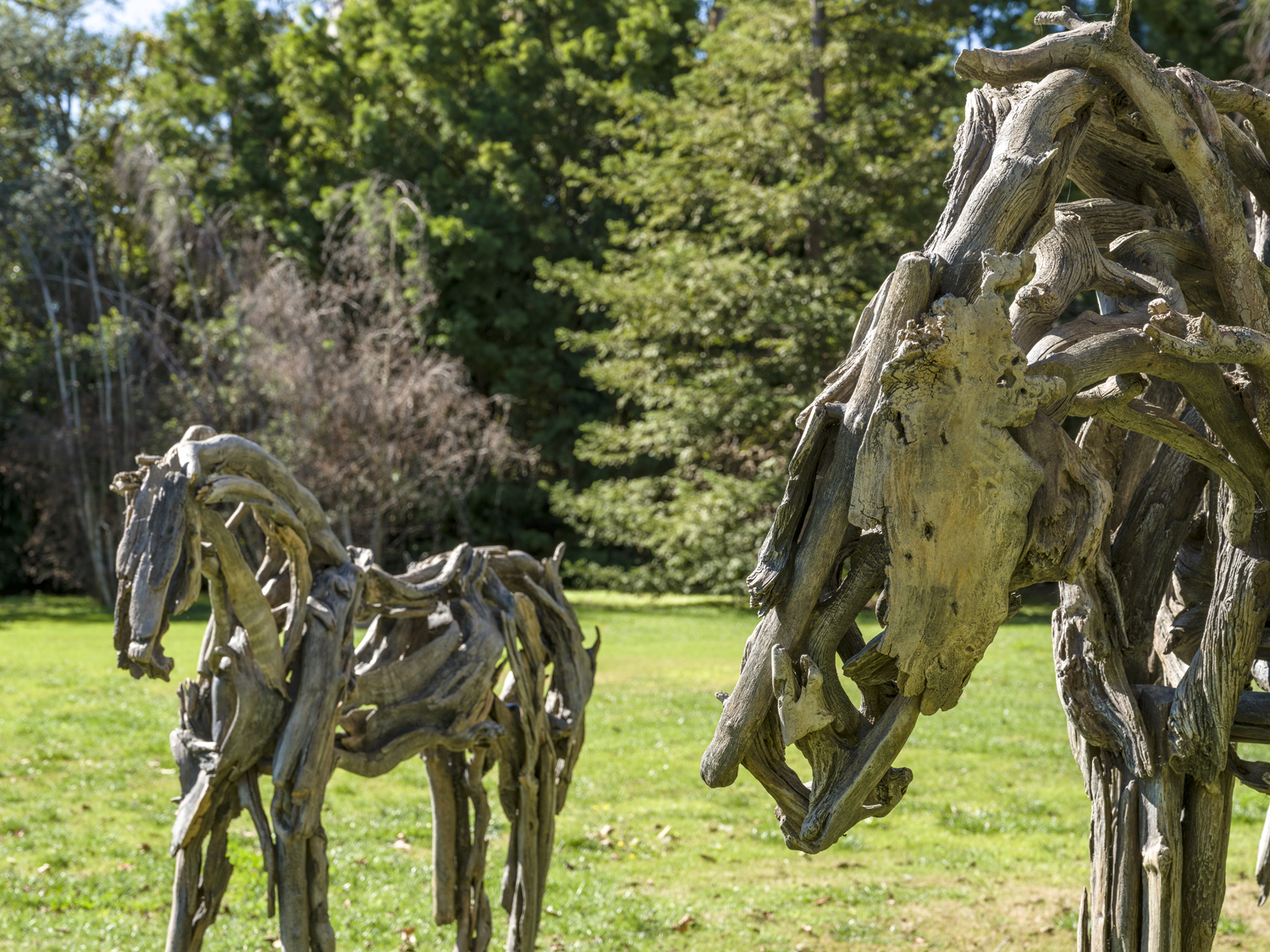 Deborah Butterfield, Untitled (Foal), 2014, Untitled (Large Horse), 2013