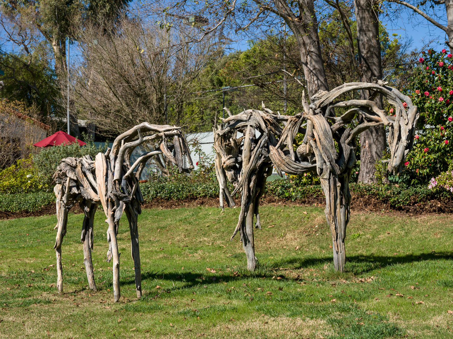 Deborah Butterfield, Untitled (Foal), 2014, Untitled (Large Horse), 2013